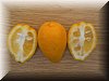 limonquat (2).JPG